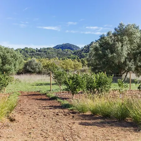 Villa Pau Pollenca
